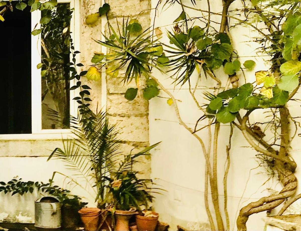 Quiet And Charming - With Yard, Center Apartamento Lisboa