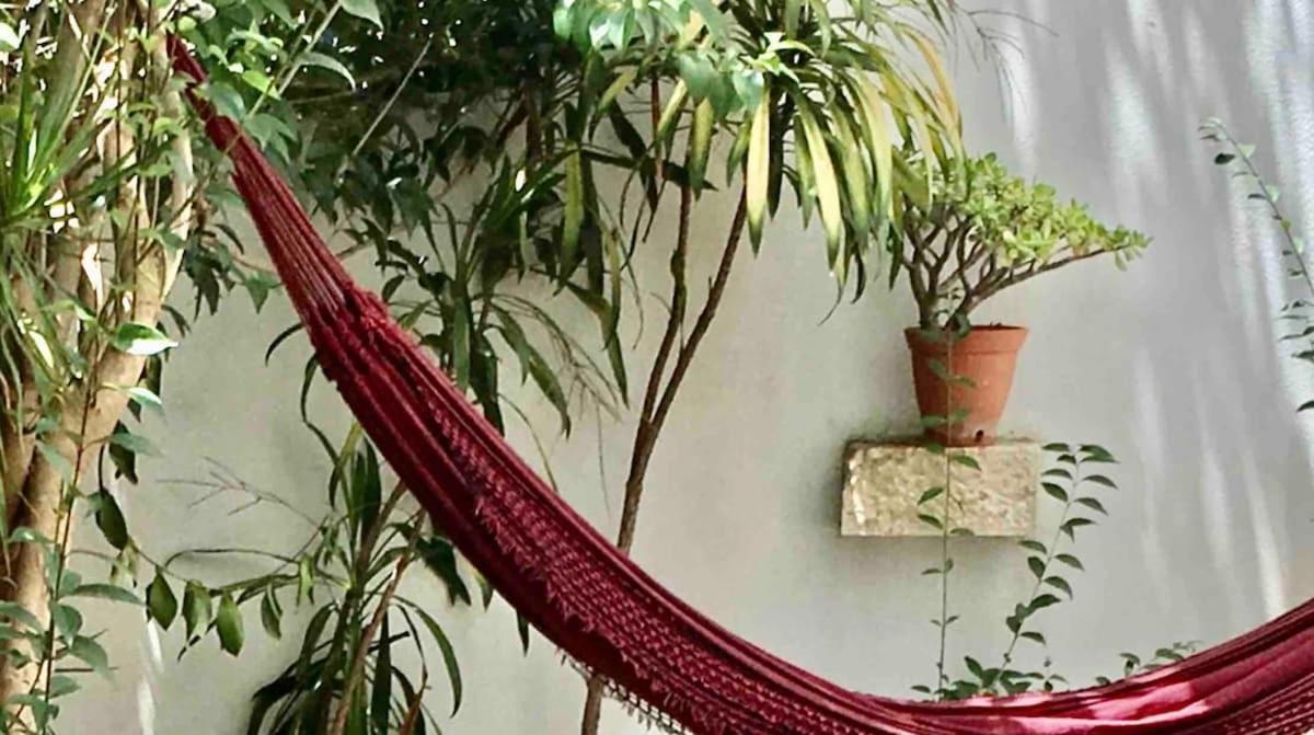 Quiet And Charming - With Yard, Center * Lisboa