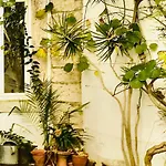 Quiet And Charming Home - With Yard, City Center
